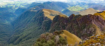 Pasochoa Wildlife Reserve – Andean Forest Immersion photo 5