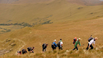 Pasochoa Wildlife Reserve – Andean Forest Immersion photo 4