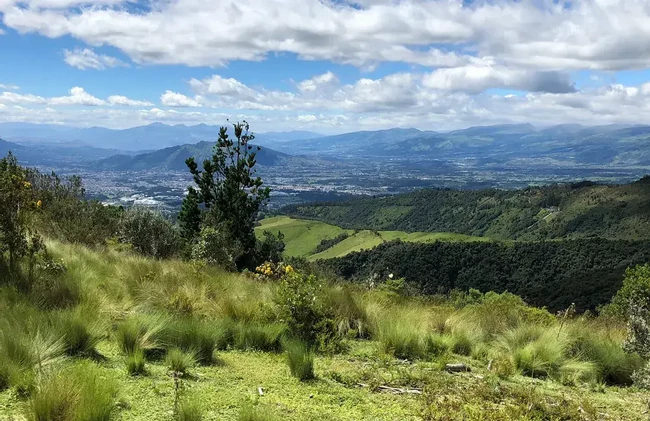 Pasochoa Wildlife Reserve – Andean Forest Immersion photo