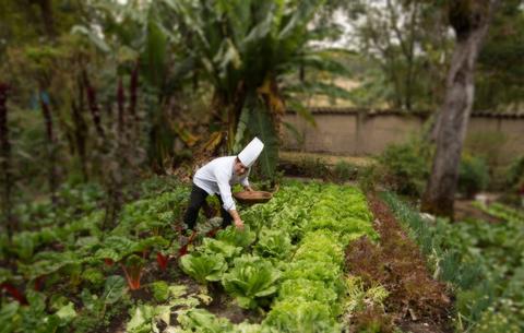 Hacienda Cusin Ecuador