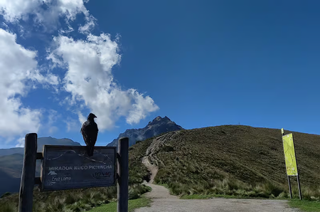 Quito Cable Car & Hike to the Summit of Rucu Pichincha photo 2