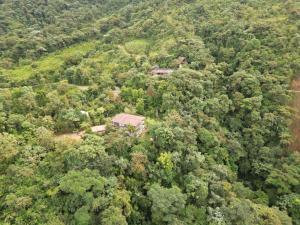 Mashpi Amagusa Lodge