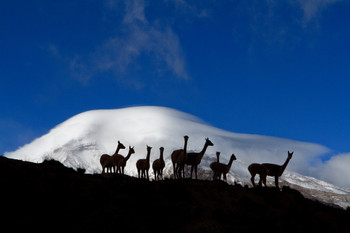 5-Day Cotopaxi and Chimborazo Climbing Tour photo 3