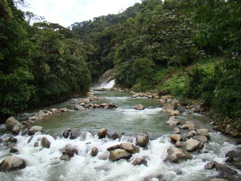 Mindo Full-Day Tour