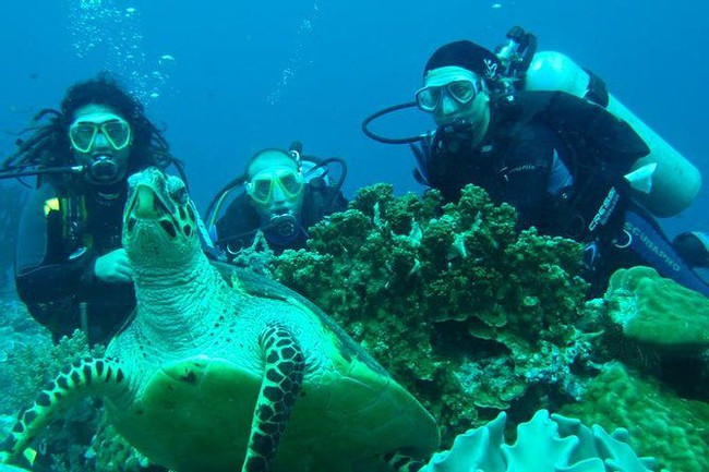 Darwin Bay & Karahua Diving Tour photo