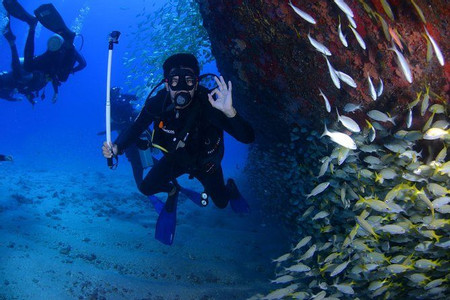 Darwin Bay & Karahua Diving Tour photo 2