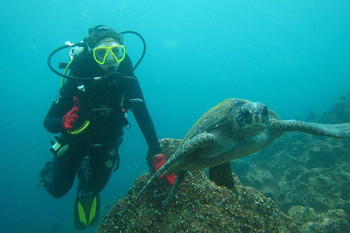Darwin Bay & Karahua Diving Tour photo 5