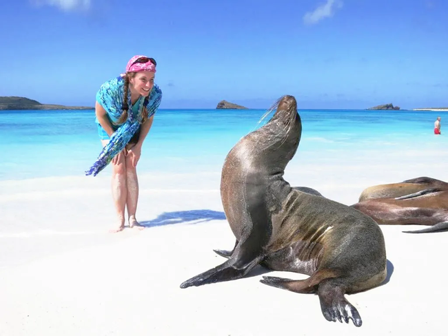 Galapagos Cruise Activities Photo