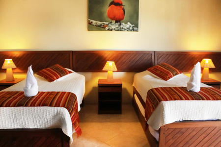 Hotel Recommendation #5