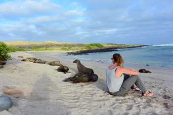 Lobería Beach Tour 