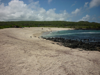 Lobería Beach Tour 