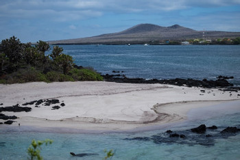 Floreana Island Tour photo 5