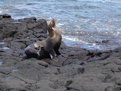 Floreana Island Tour Ecuador