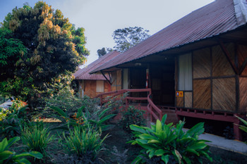 Napo Cultural Center photo 3