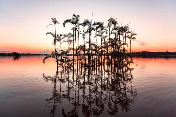 The Luxury of Friendship in Ecuador, Ecuador