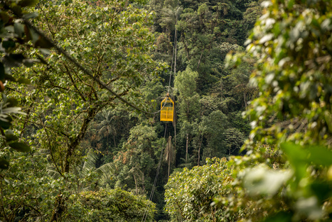 Ecuador Unplugged: The Galapagos
