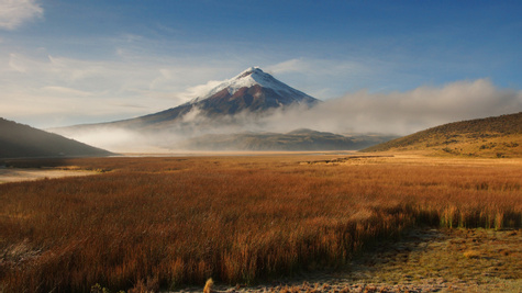 Chasing Family Adventure in Ecuador
