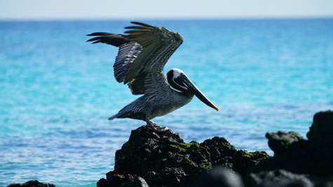Two Weeks in Ecuador