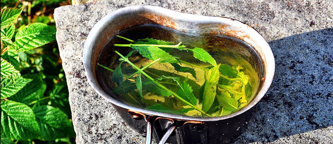 Drive & Walk: Paros Herbs & Wine Tour