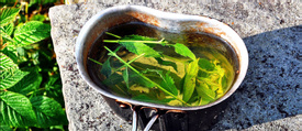 Drive & Walk: Paros Herbs & Wine Tour