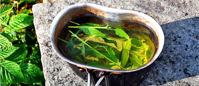 Drive & Walk: Paros Herbs & Wine Tour Photo