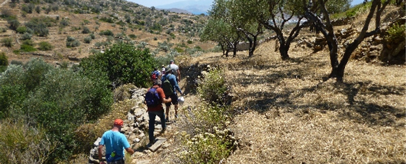 Olive Culture Tour photo
