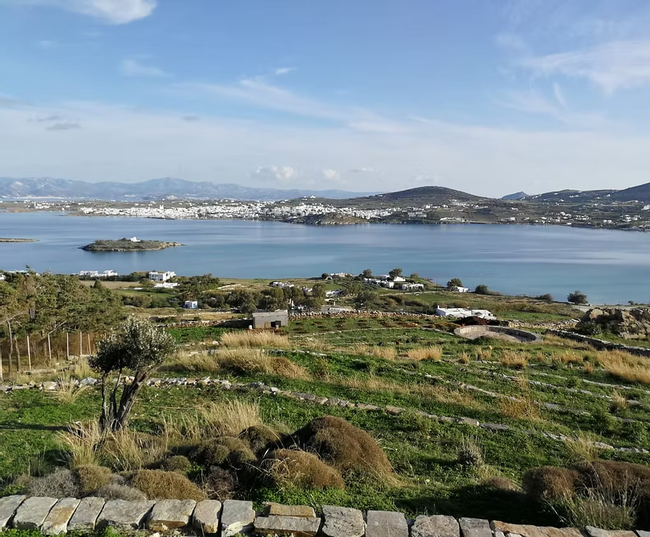 Organic Farm Tour with Classic Lunch Experience Photo