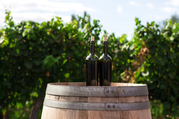 Oia’s Private Paths & Wine Tasting