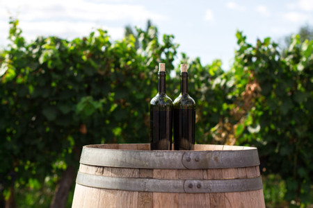 Oia’s Private Paths & Wine Tasting