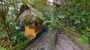 Nature Tour Biotopo Del Quetzal photo