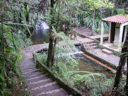 Nature Tour Biotopo Del Quetzal photo 2