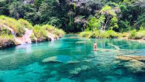 Semuc Champey y Cuevas de Kamba photo 5