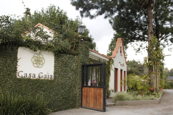 Hotel Casa Gaia photo 3