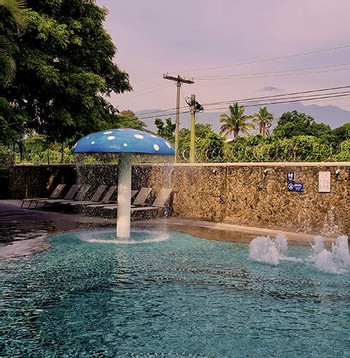 Relaxation and Wellness Packages photo 2