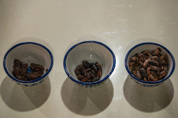 Chocolate Workshop photo 2