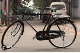 Incredible Bicycle Rides