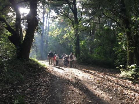 Birdwatching Antigua Guatemala