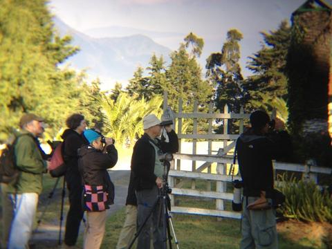 Birdwatching Antigua Guatemala