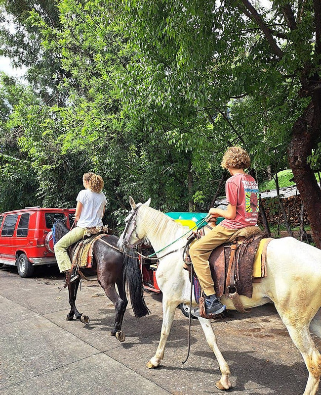 Horseback Tour Experience - Collective