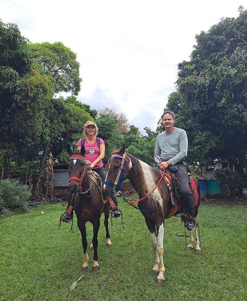 Horseback Tour Experience - Collective