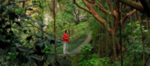 Hike Tour at Atitlan's Natural Reserve Guatemala