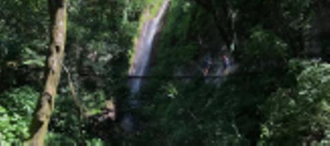 Hike Tour at Atitlan's Natural Reserve
