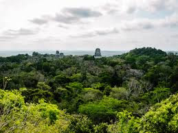 Amazing Tikal Tour (Private) photo 4