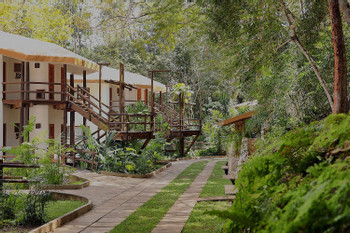 Hotel Villa Maya photo 3