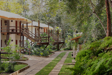Hotel Villa Maya photo 3