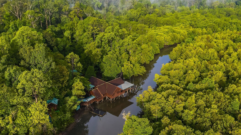 Amazing Mangrove Boat Tour photo