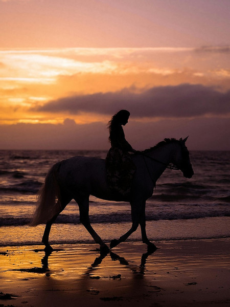 Beach Horseback Riding Experience