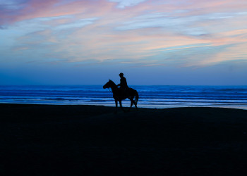 Beach Horseback Riding Experience