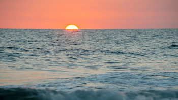 Sea Turtle Release Experience Monterrico