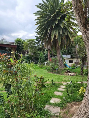 Casa Amaranto photo 4